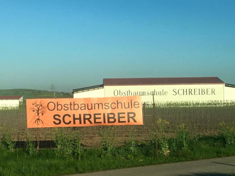 schreiber sign